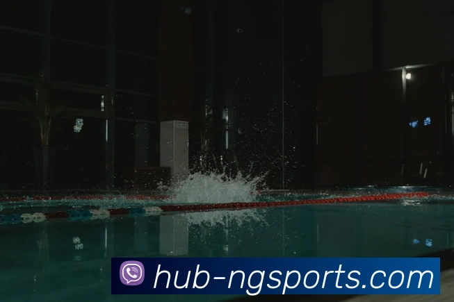 球赛投注平台生态图